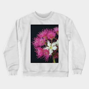 Brushbox Framed by Corymbia Ficifolia Crewneck Sweatshirt